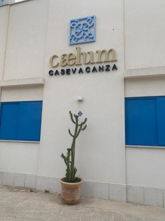 Caelum Case Vacanza 特拉帕尼 外观 照片
