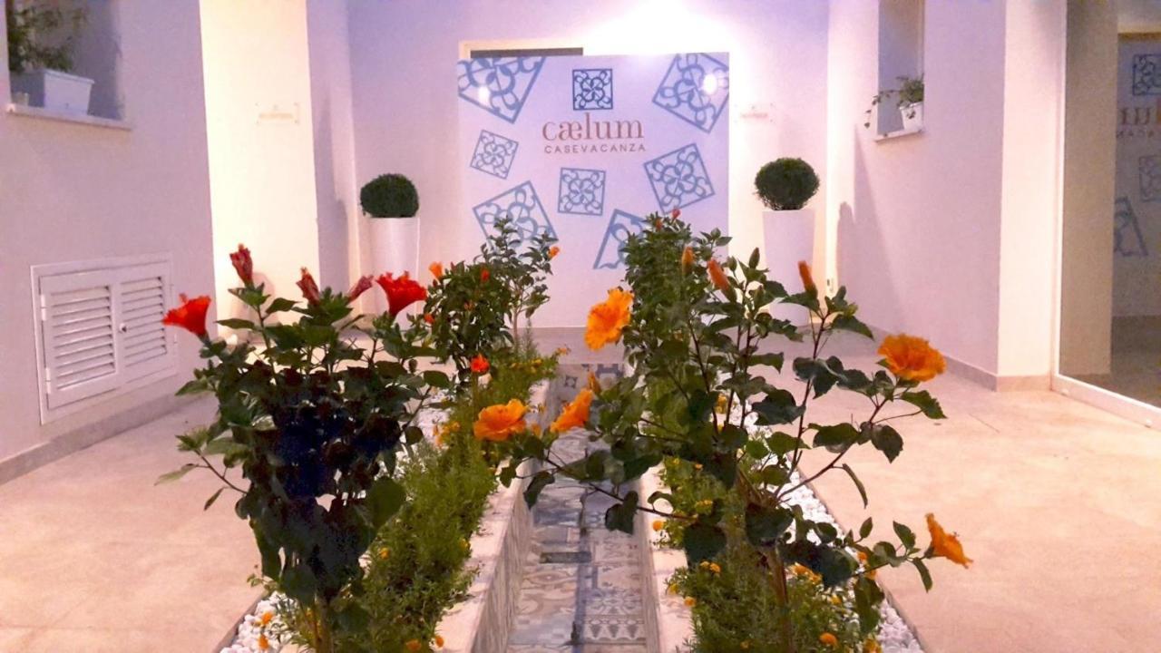 Caelum Case Vacanza 特拉帕尼 外观 照片